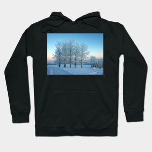 Winter Trees in Ireland Hoodie